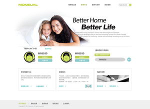 專業代理代辦公司網站設計效果圖展示與服務流程